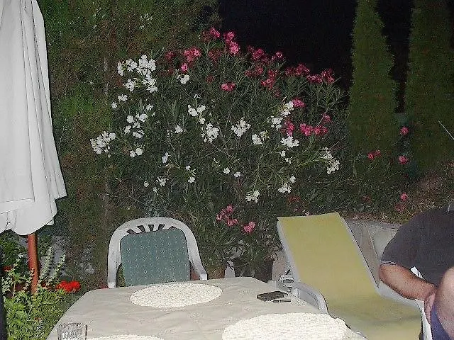 Holiday home Feher Hollo Vendeghaz Villa Eger Hungary